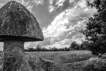 20170530-3920002..4 SNS2HDR